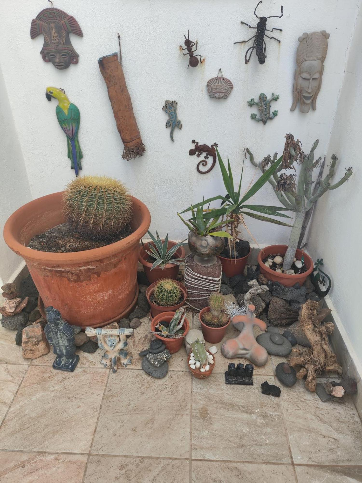 Love For Lanzarote Holidays House بلايا بلانكا المظهر الخارجي الصورة